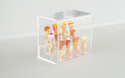 Sonny Angel Acrylic Display Case - Easy Carry