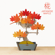 Play Plants Bonsai Puzzles - Display Ready