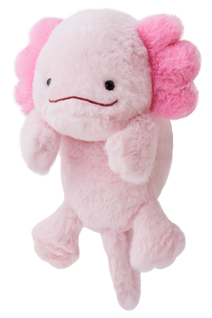 Posture Pal - Little Charm