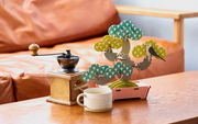 Play Plants Bonsai Puzzles - Display Ready