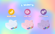 Rainbomb Unicorn - Happy Display