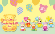 Birthday Gift Bear Series - Display Choice