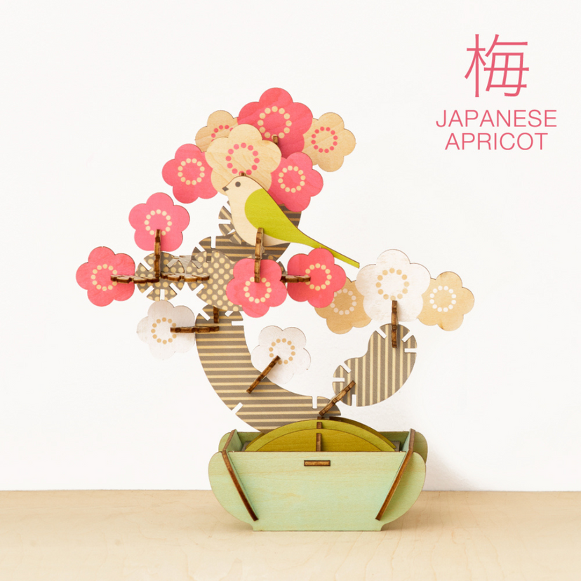 Play Plants Bonsai Puzzles - Display Ready